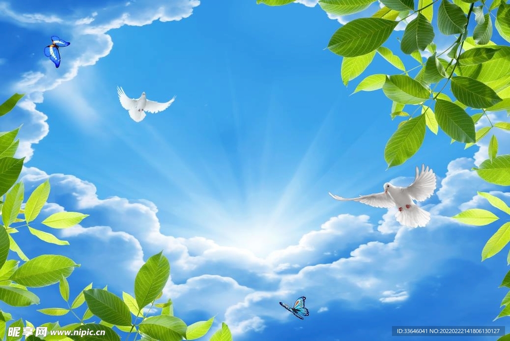 仰望天空