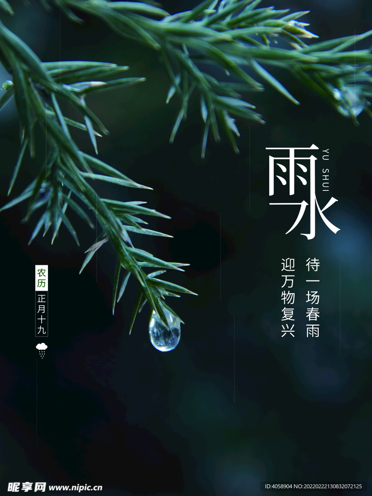 雨水