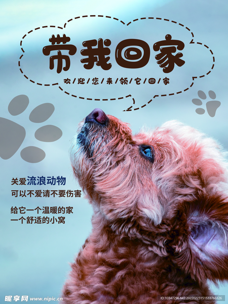 宠物海报 