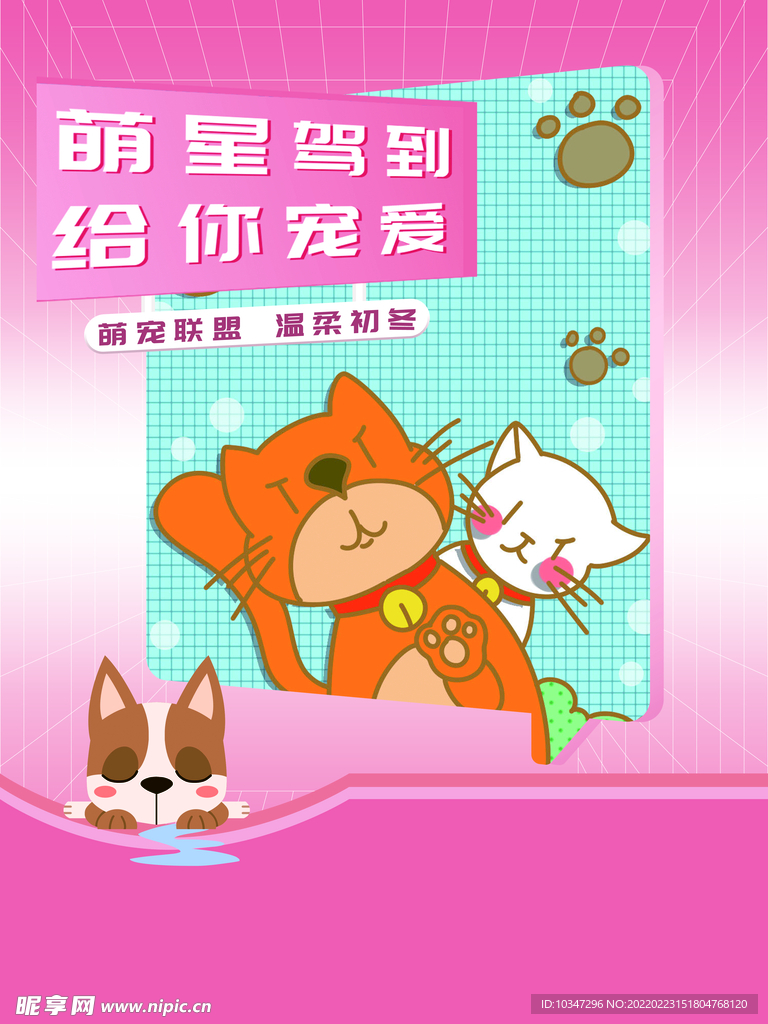 宠物海报 