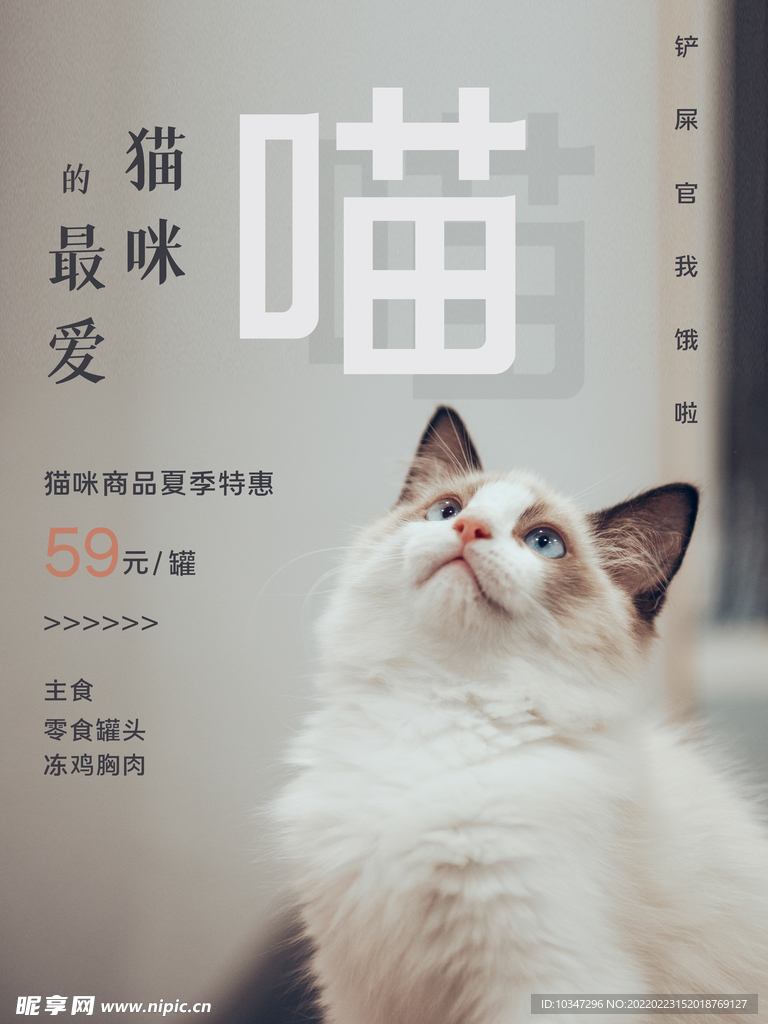 宠物海报 