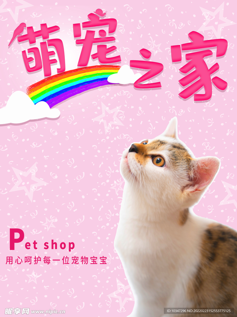 宠物海报 