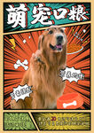 宠物海报 
