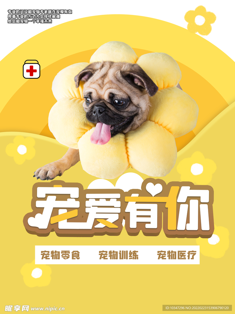 宠物海报  