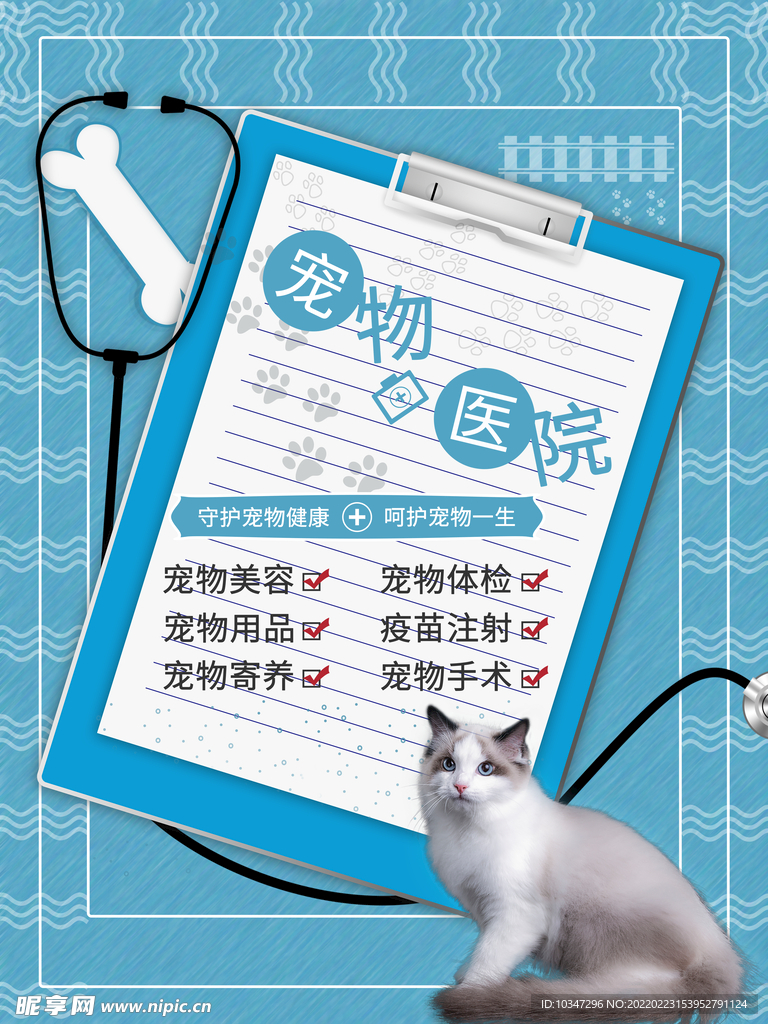 宠物海报  