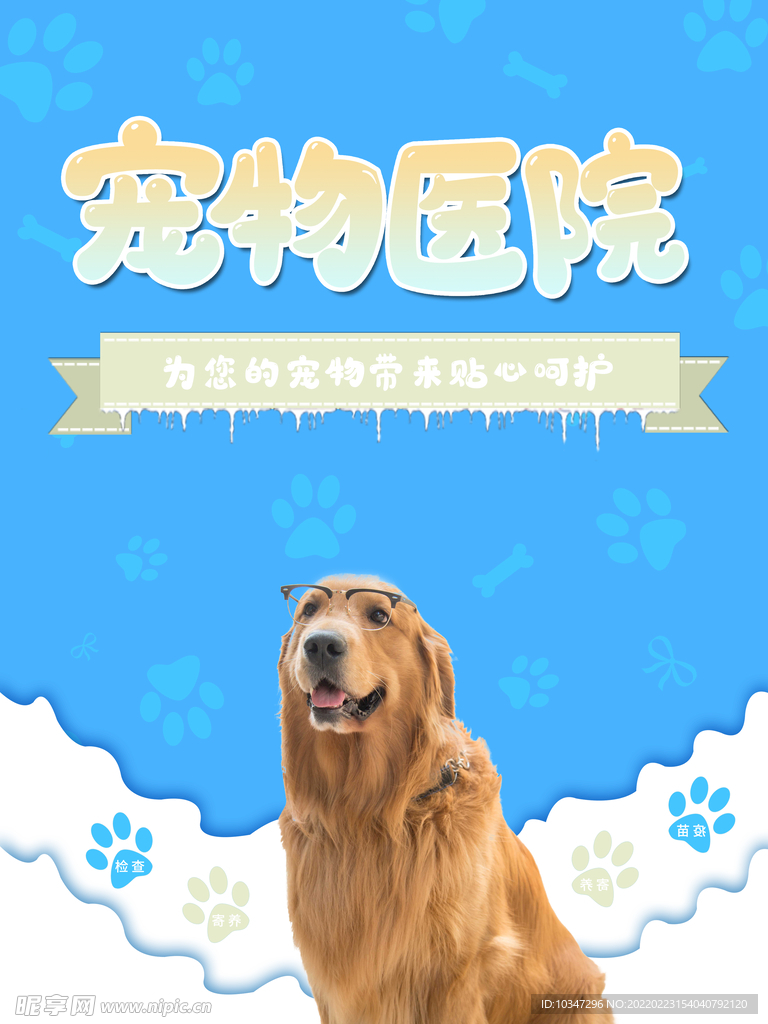 宠物海报 