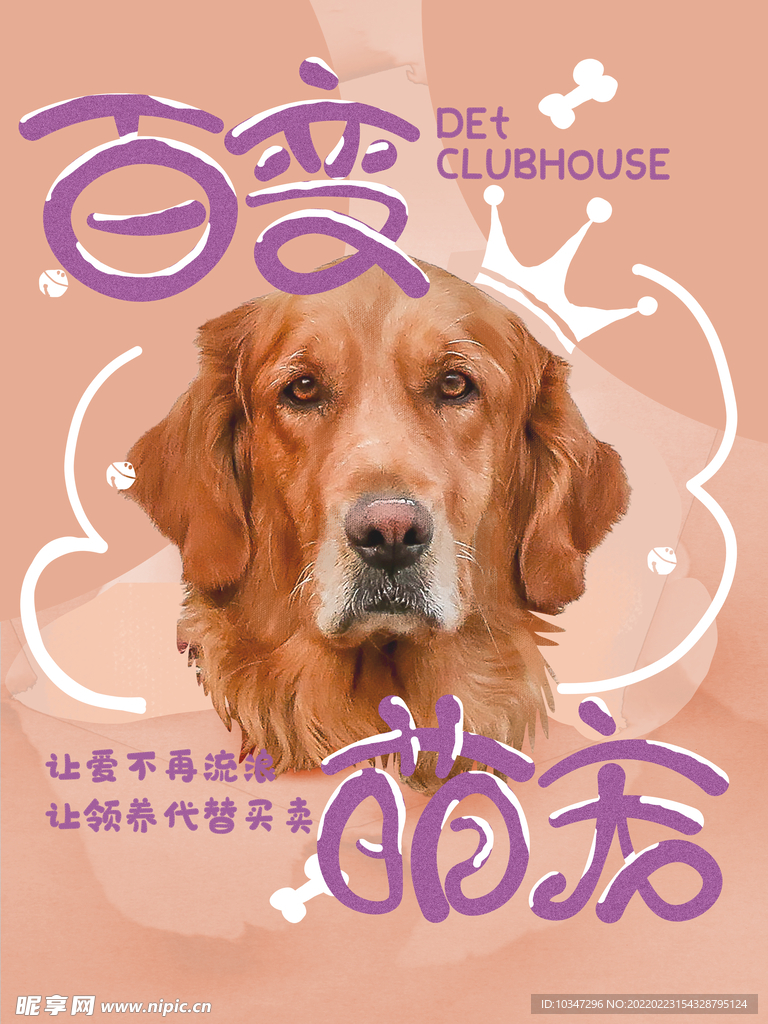 宠物海报  