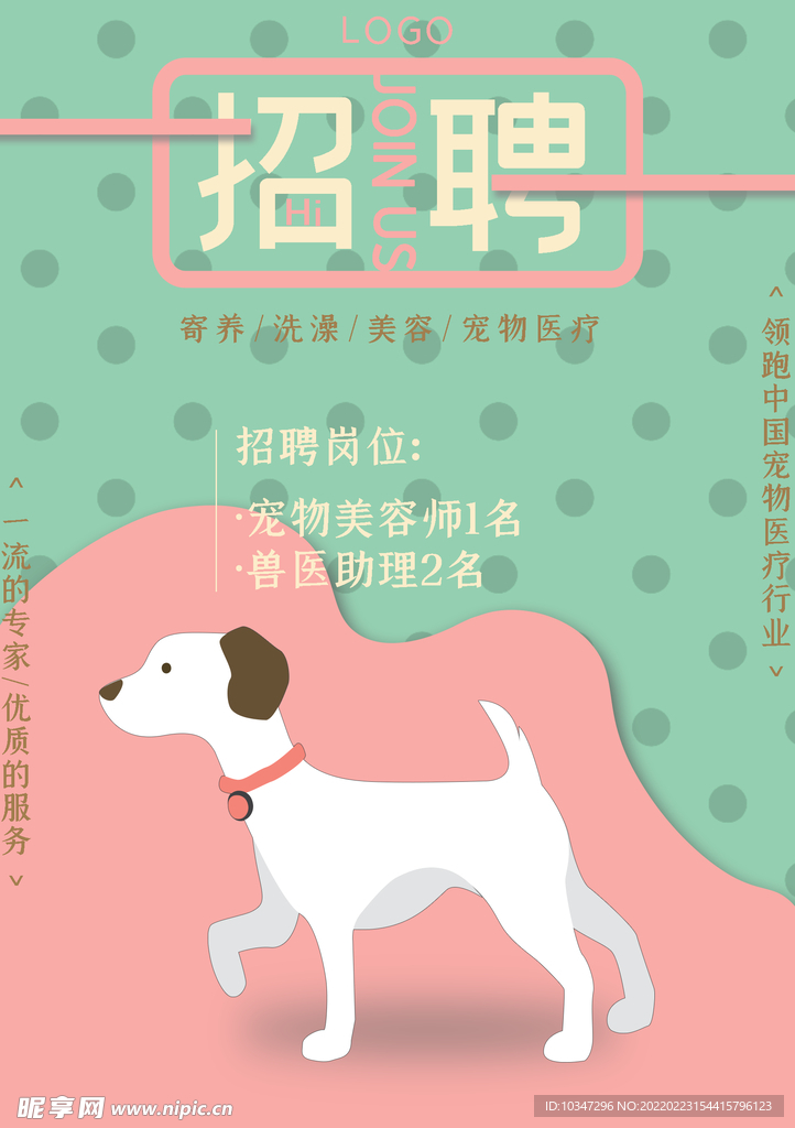 宠物海报 