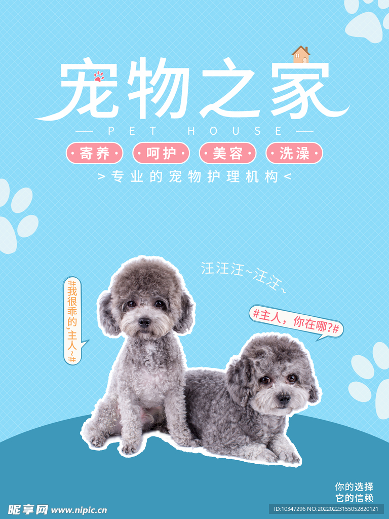 宠物海报  