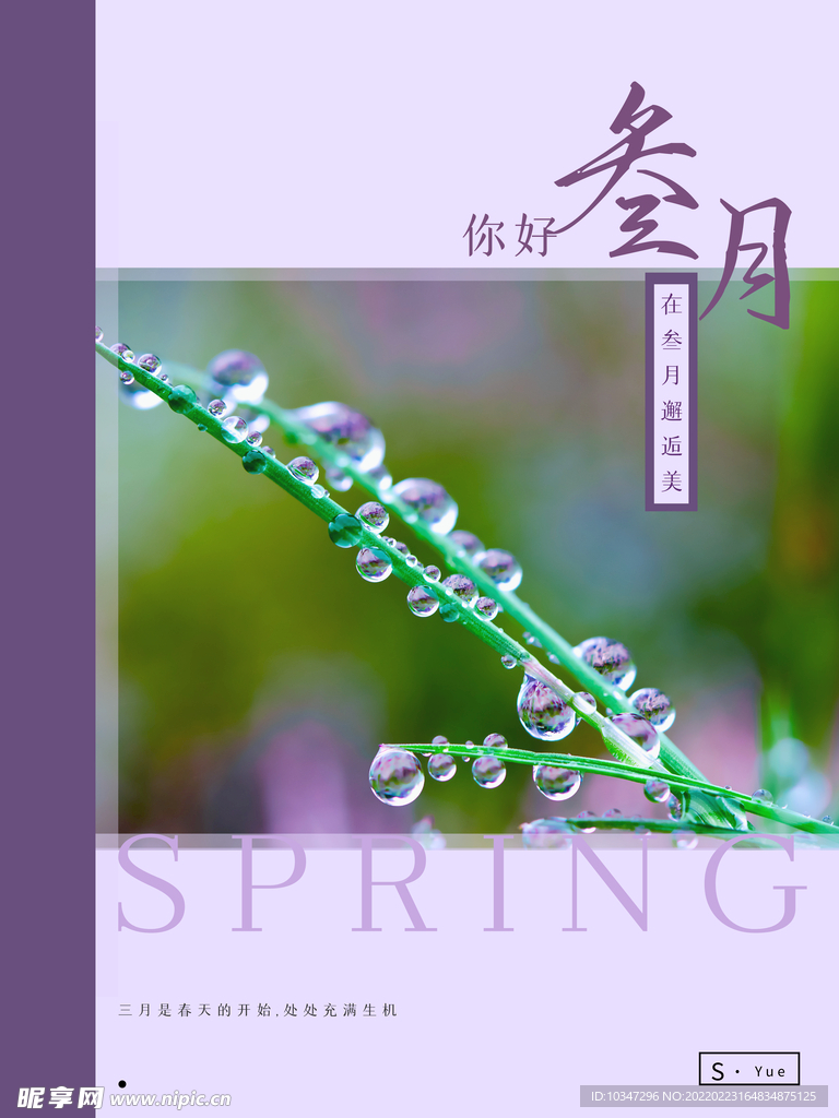 春天海报 
