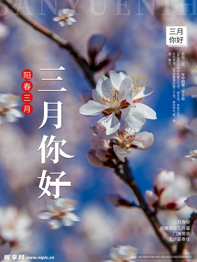 3月你好 春天海报 春暖花开 