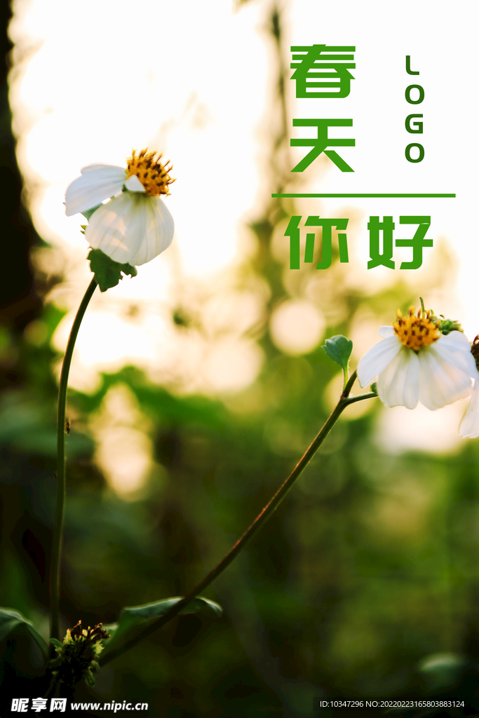 3月你好 春天海报 春暖花开 