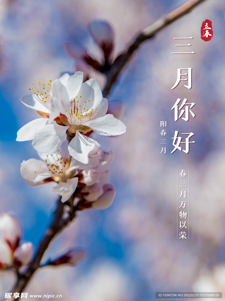 3月你好 春天海报 春暖花开 