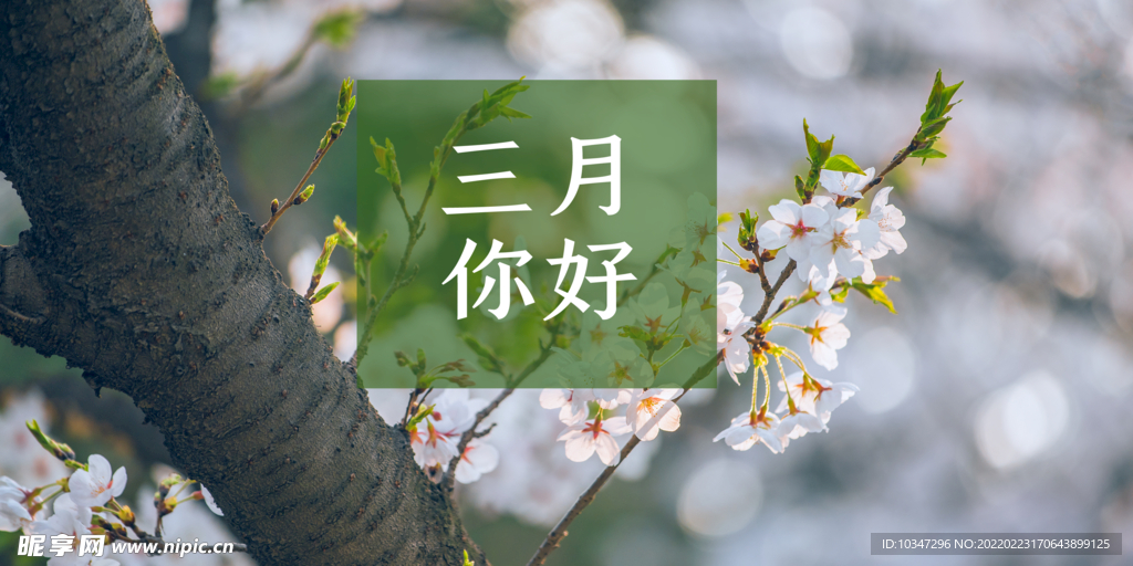 3月你好 春天海报 春暖花开 