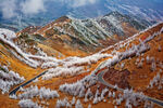 山
