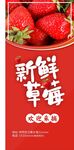新鲜草莓展架