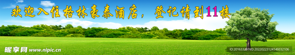 蓝天草地