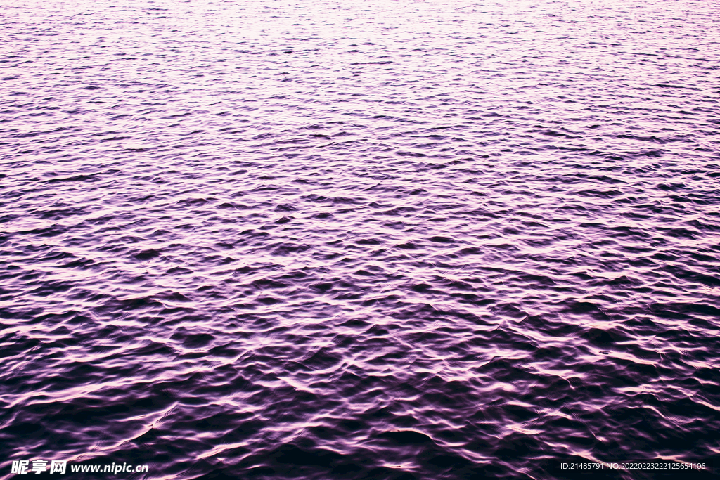 大海