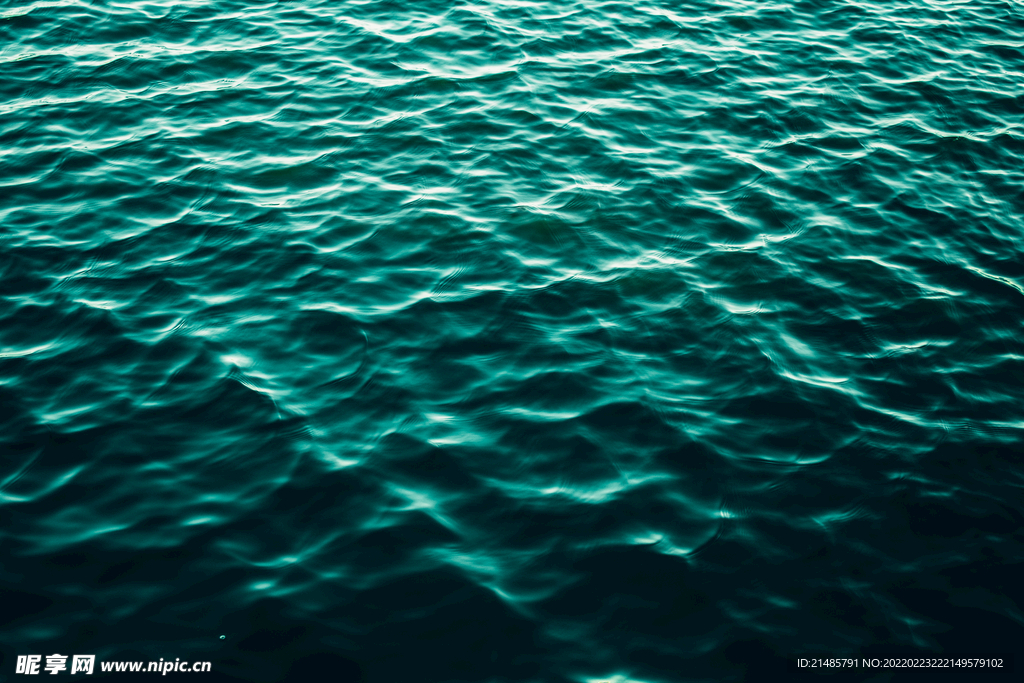 大海