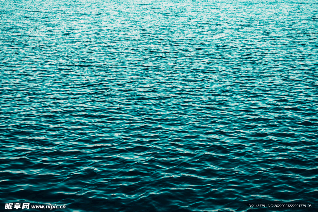 大海