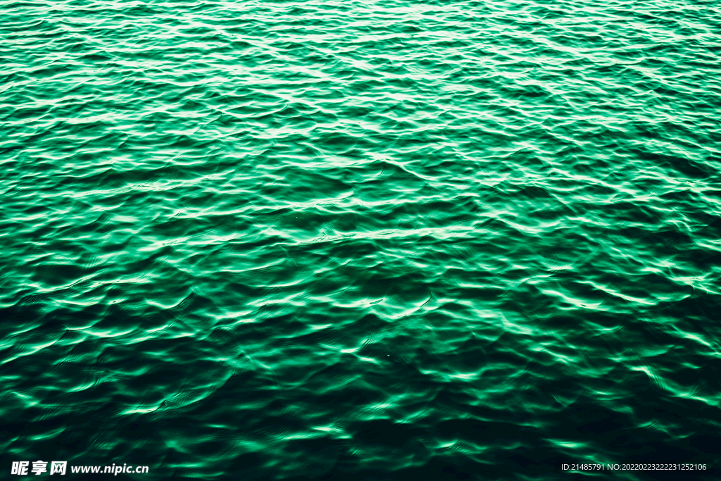 大海