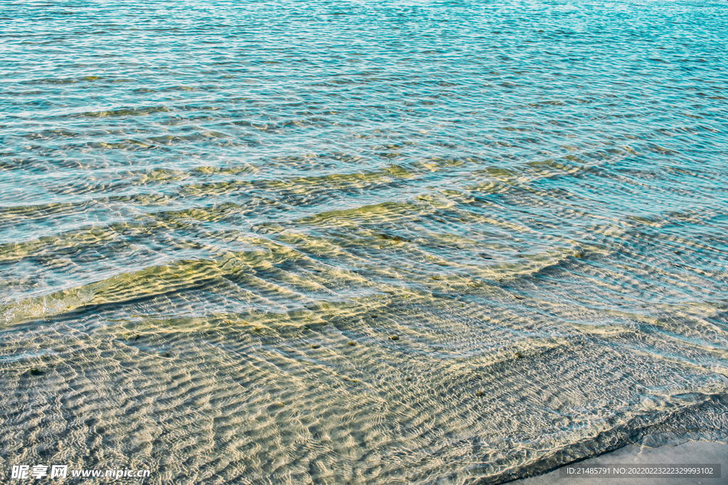 大海