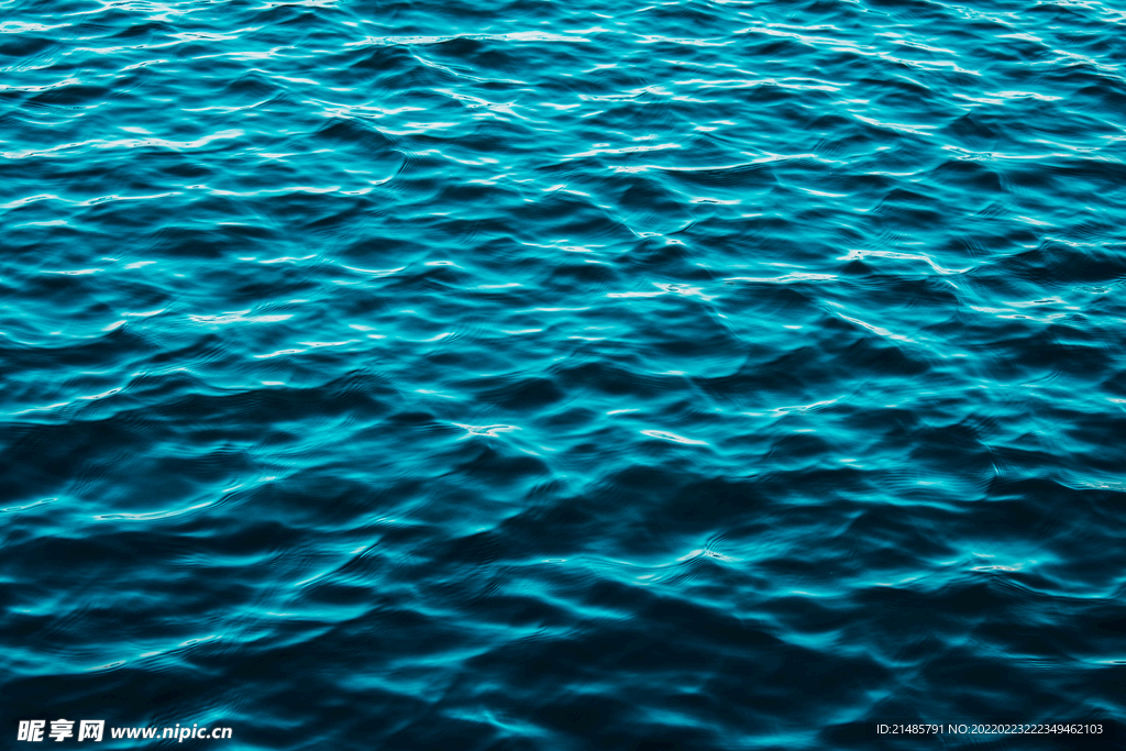 大海