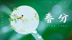 春分二十四节气海报