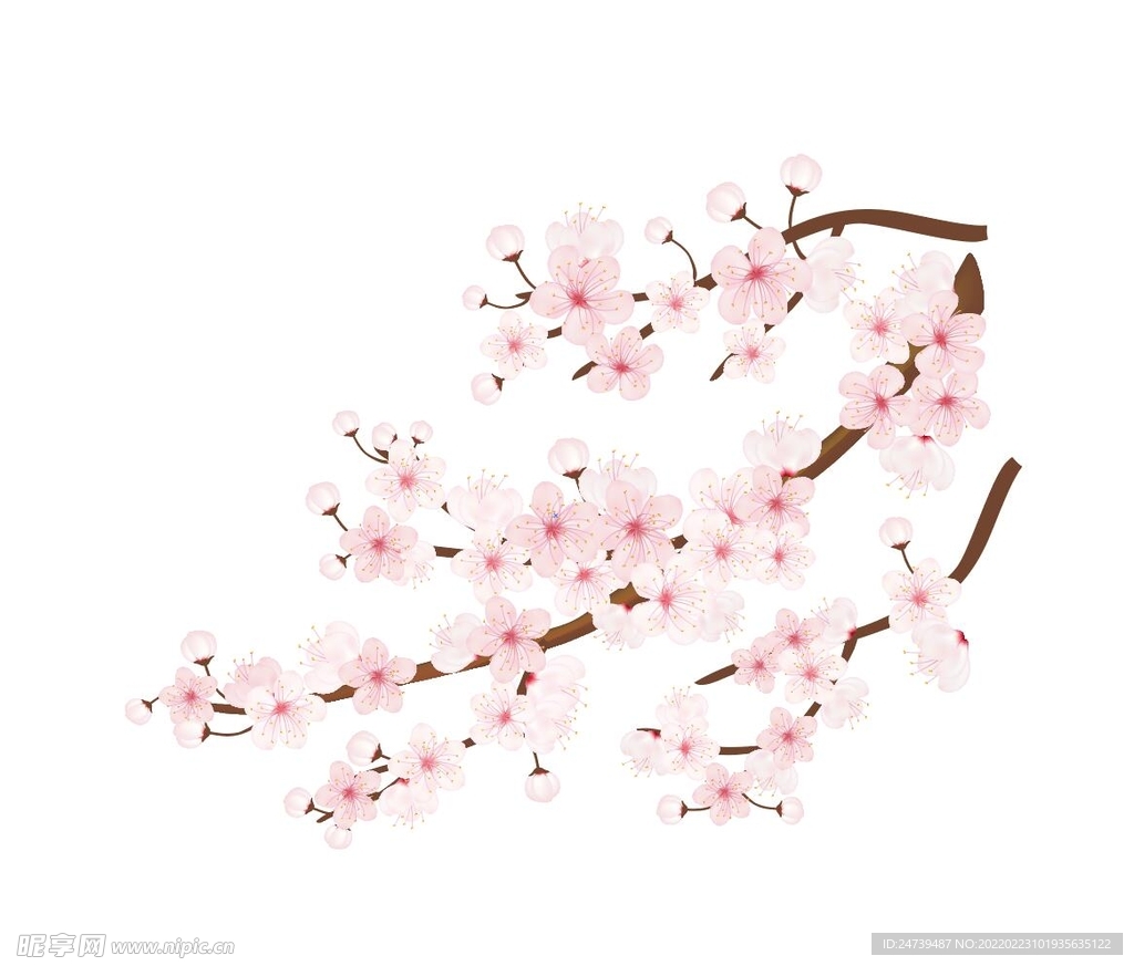 手绘桃花