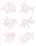 线条桃花