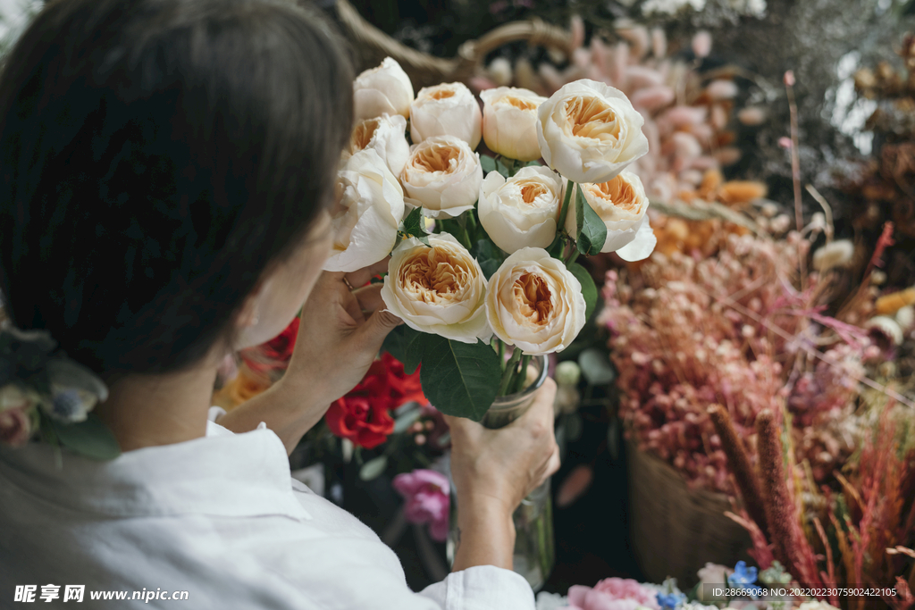 花朵花卉自然风景摄影图