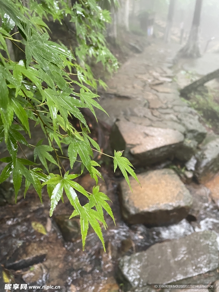 自然风光