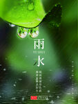 雨水