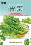 菠菜海报