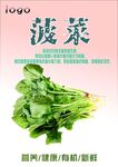 菠菜海报