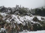 雪景图片