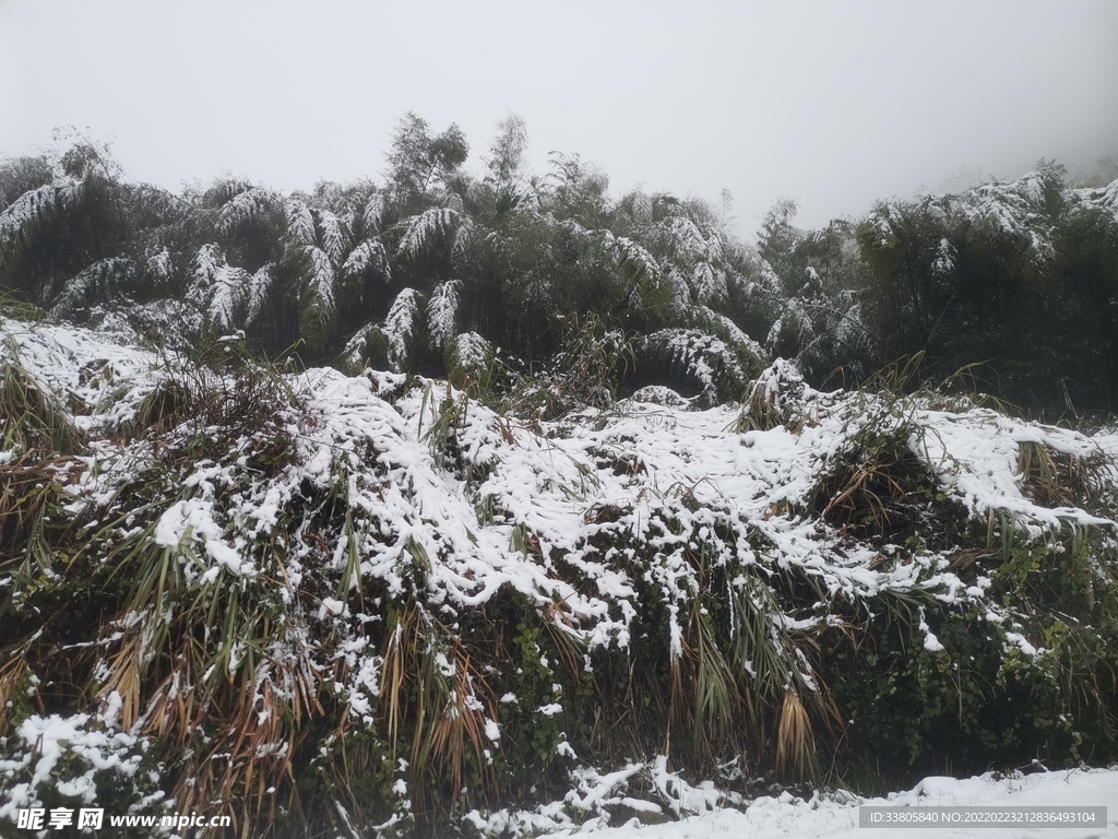 雪景图片