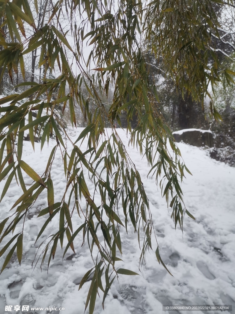 雪景