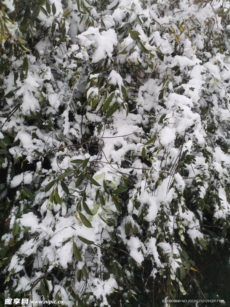 雪景图片