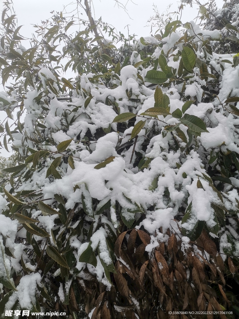 雪景图片