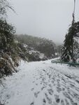 大路雪景
