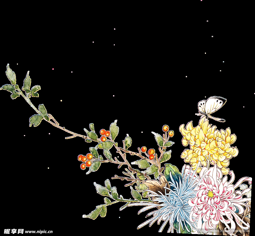 菊花