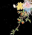 菊花