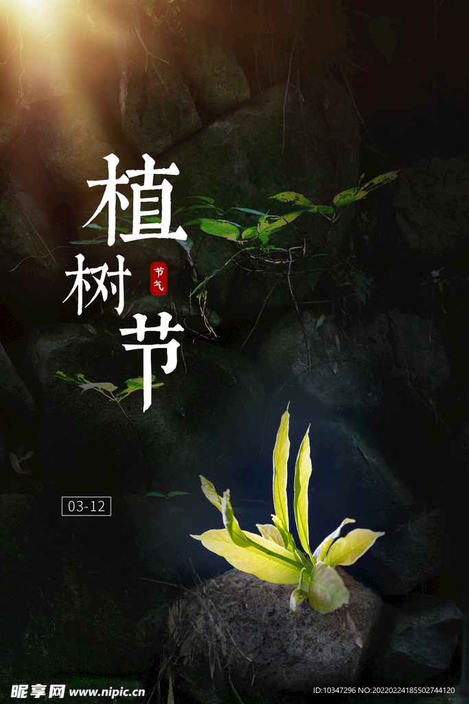 植树节 