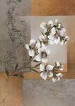 花卉装饰画