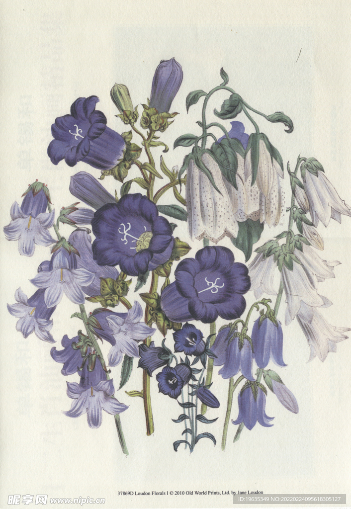 花卉装饰画