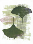 花卉装饰画