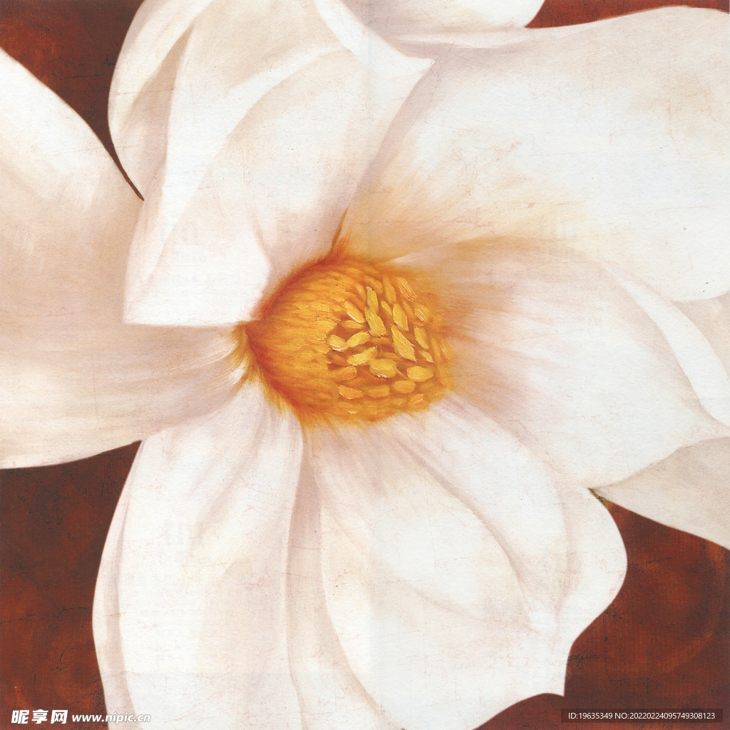 花卉装饰画