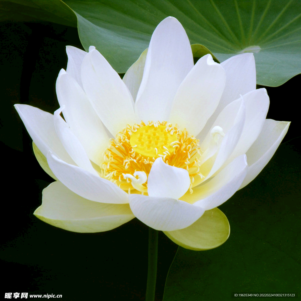 现代装饰画
