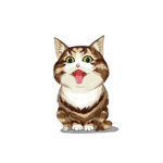 猫              